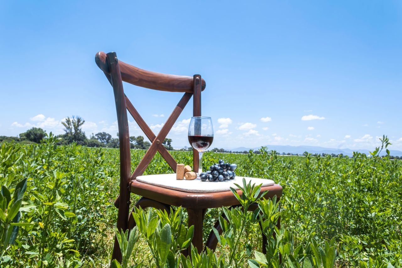 A wooden chair with a wine glass and grapes in a lush vineyard under a clear blue sky.